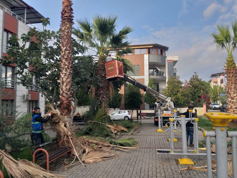Nazilli Belediyesi’nden 12 mahallede eş zamanlı çalışma